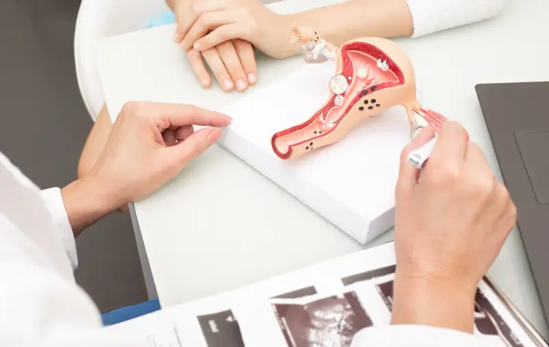 Gynecological and Urological Consultation