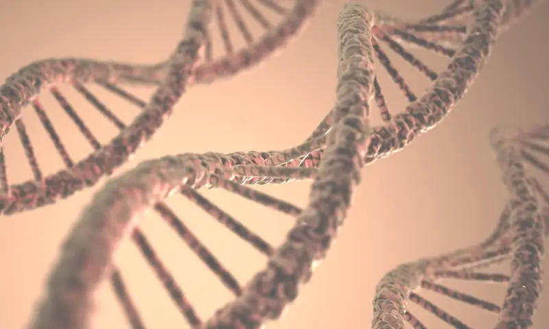 Medical Genetics
